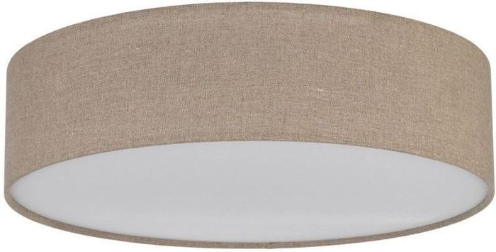 Світильник стельовий TK LIGHTING 10166 EARTH